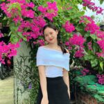 Ảnh Mai Phương