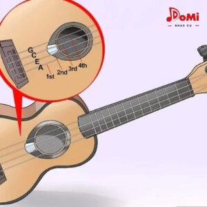Cách tự chơi đàn Ukulele