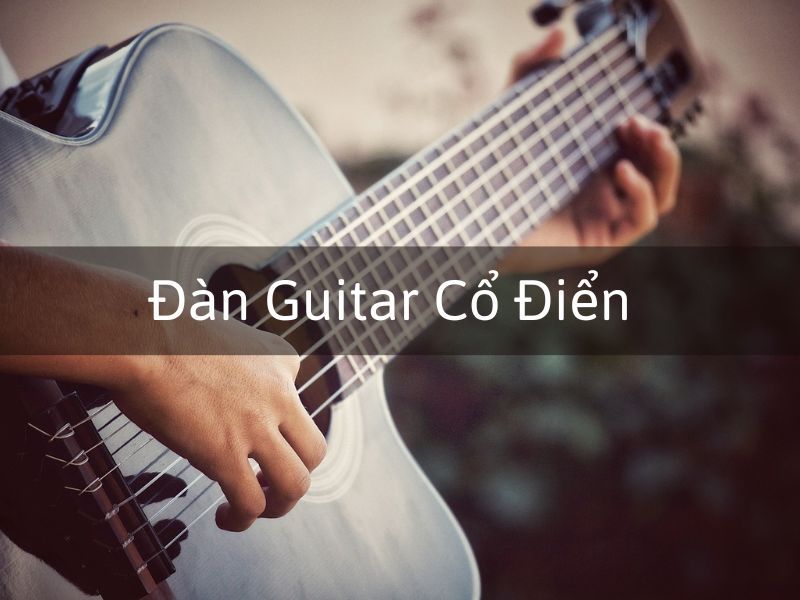 Guitar Cổ Điển - Sự Khác Biệt Giữa Guitar Cổ Điển và Acoustic