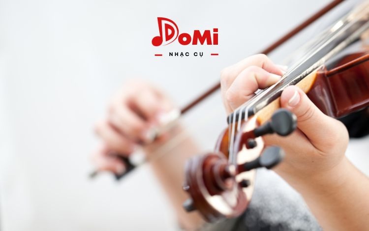 Đàn violin có mấy dây? Giới thiệu về đàn violin