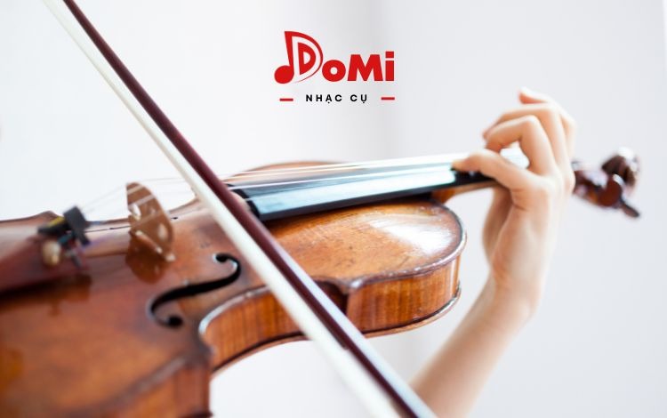 Đàn violin có mấy dây? Tìm hiểu về số dây đàn violin
