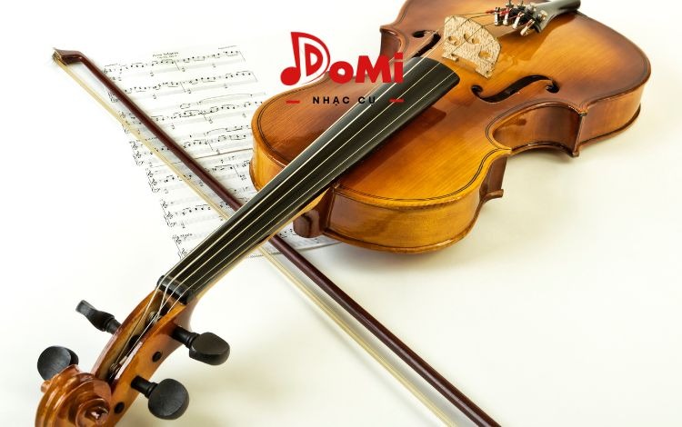 Đàn violin có mấy dây? Khám phá cấu tạo đàn violin