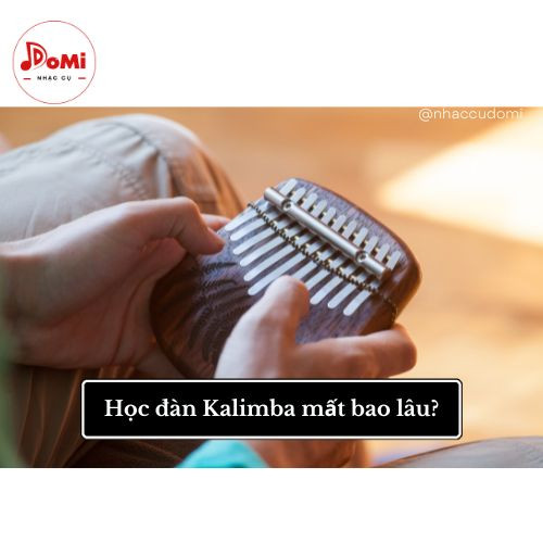 Học đàn Kalimba mất bao lâu