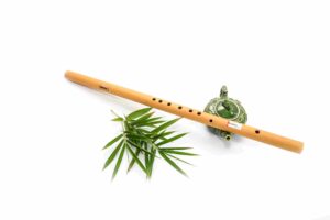 Sáo mèo - Tìm hiểu về sáo Recorder và các loại sáo phổ biến