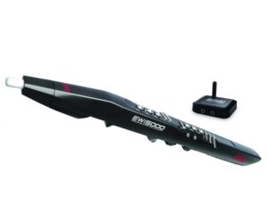 Sáo điện tử - Tìm hiểu về sáo Recorder và các loại sáo phổ biến