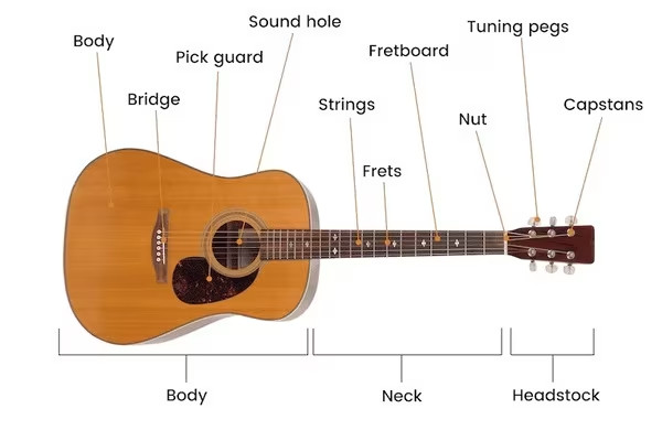 10 Bộ phận đàn Guitar 6 dây - Đàn Guitar có mấy dây