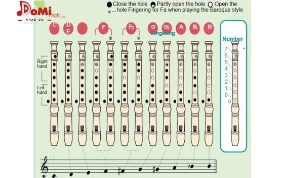 Cách bấm ngón tay sáo Recorder