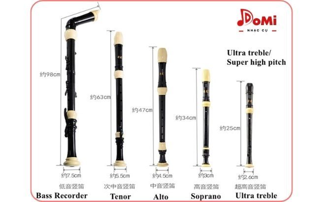 Hệ thống sáo recorder
