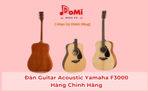 Các loại đàn Guitar Acoustic tốt và chất lượng 2