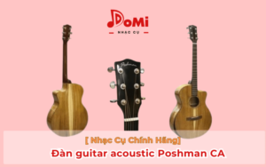 Các loại đàn Guitar Acoustic tốt và chất lượng 4