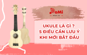 dan ukulele la gi? 5 luu y khi bat dau choi dan