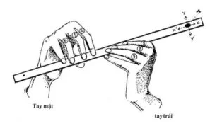 Cách cảm âm sáo trúc