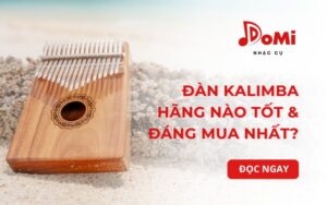 Kalimba hãng nào tốt nhất