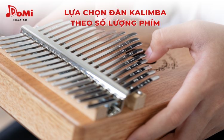 Kalimba hãng nào tốt nhất - Tiêu chí lựa chọn theo số lượng phím đàn