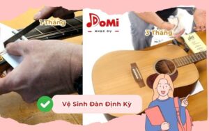 Vệ Sinh Đàn Định Kỳ