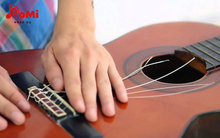 Cách Chọn Dây Đàn Guitar Classic Tốt Nhất