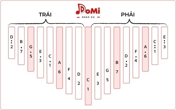 Người Mới Chơi Kalimba Cần Chú Ý Cách Chơi Đàn Kalimba