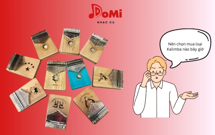 Người Mới Chơi Kalimba Cần Chú Ý Nên Chọn Loại Đàn Nào
