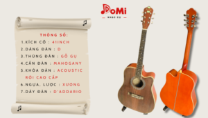Các góc của Đàn Guitar Acoustic Sunny SN4145 Chính Hãng