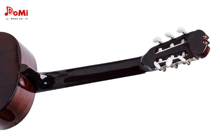 Cận Mặt Sau Đàn Guitar Classic C-100