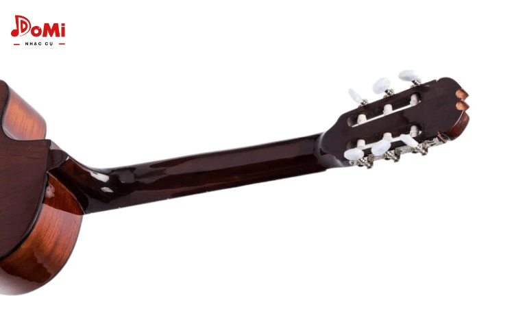 Cận Mặt Sau Guitar Classic C-100-J