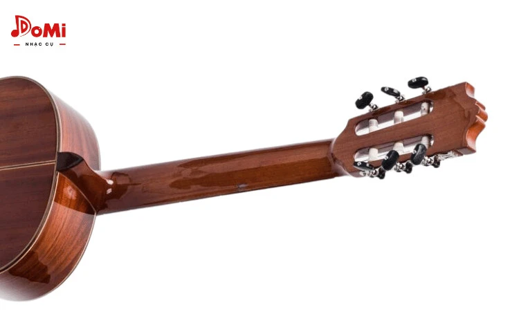 Cận Mặt Sau Đàn Guitar Classic C-250
