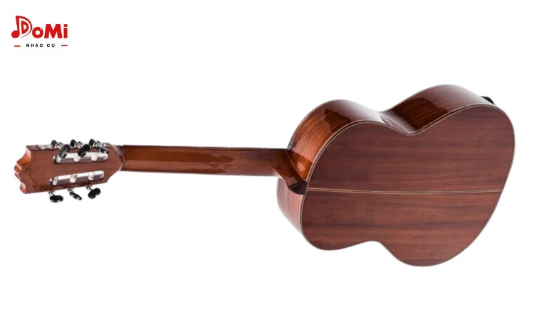 Mặt Sau Đàn Guitar Classic C-250
