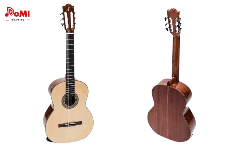 Mặt Trước Và Sau Đàn Guitar Classic C-250