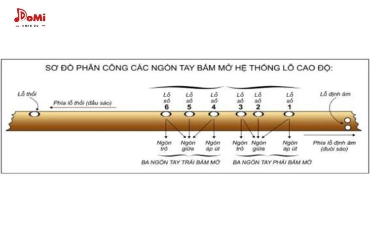 Cách để ngón tay và điều chỉnh âm lượng cao độ