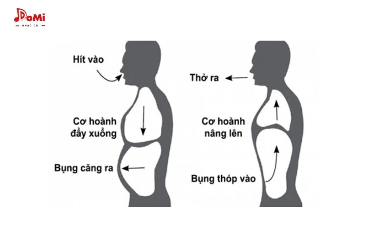 Cách giữ hơi thôi- Học sáo trúc liệu có khó không