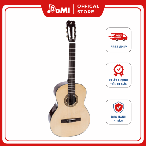 Đàn Guitar Classic C-100
