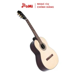 Hình Nghiêng Đàn Guitar Classic C-170