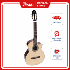 Đàn Guitar Classic C-170-J