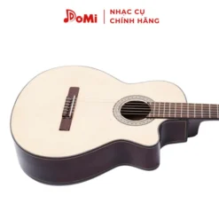Cận Đàn Guitar Classic C-170-J 