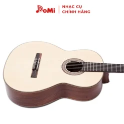 Trước Đàn Guitar Classic C-250