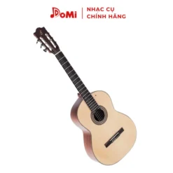 Nghiêng Đàn Guitar Classic C-250