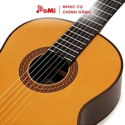 Dây Đàn Guitar Lẻ Và Cả Bộ 6 Dây AW466 1