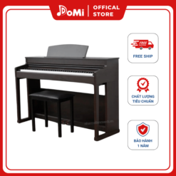 Piano Điện Apollo DP-260