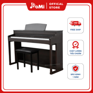 Piano Điện Apollo DP-260