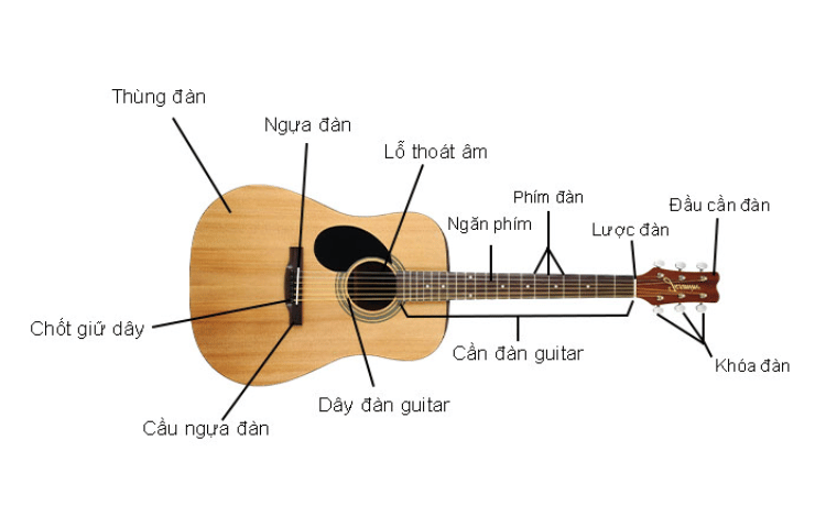 Các Bộ Phận Của Đàn Guitar - Bài Học Guitar Cho Người Mới Bắt Đầu