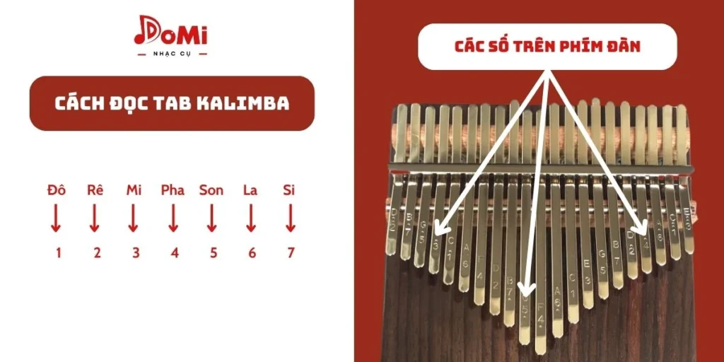 Cách đọc tablature của kalimba - cách học đánh đàn kalimba dễ nhất