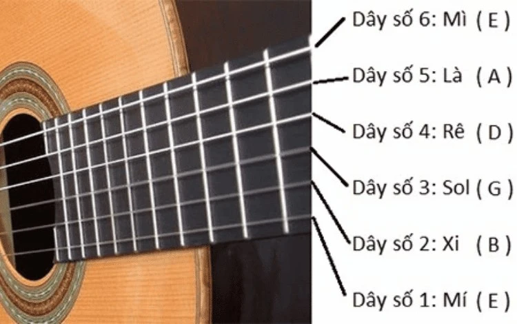Thứ Tự Của Dây Đàn Guitar