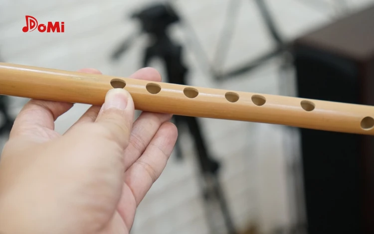 Các Loại Sáo Trcus 7 Lỗ Phổ Biến Trên Thị Trường- Cách Thổi Sáo Trúc 7 Lỗ Đơn Giản
