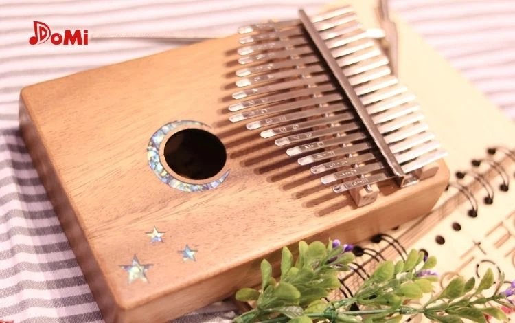 Kalimba Là Loại Đàn Gì- Top 5 Cách Bảo Quản Đàn Kalimba