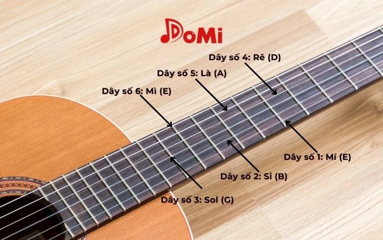 Thứ Tự Của Dây Đàn Guitar Cho Người Mới Bắt Đầu 2