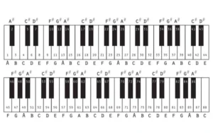 Nhạc Lý Piano - Hợp Âm