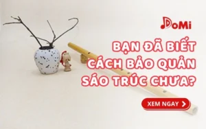 Bạn Đã Biết Cách Bảo Quản Sáo Trúc Chưa?