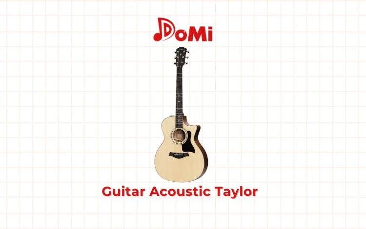 Các loại đàn guitar acoustic tốt nhất - Đàn guitar acoustic Taylor