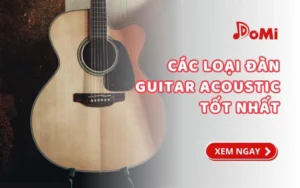 Các loại đàn guitar acoustic tốt nhất